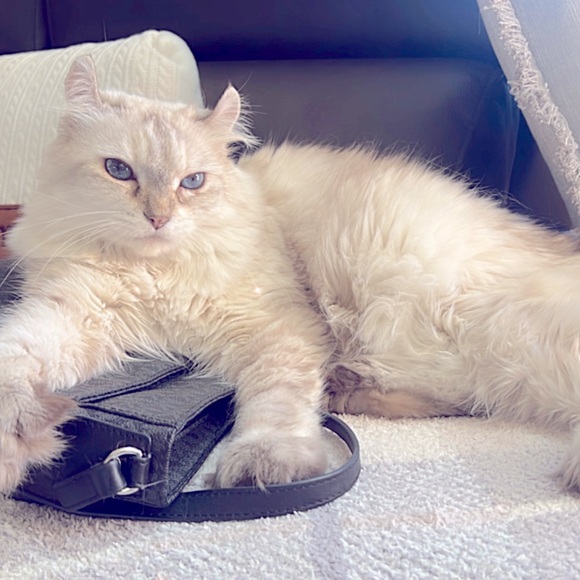 Meet your Posher, Kristine - Picture 1 of 1